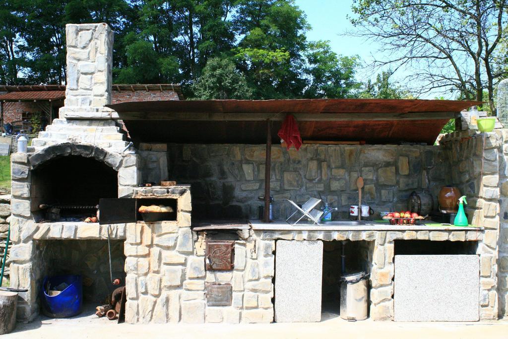 Cuibul Salamandrelor Hotel Sarmizegetusa Exterior photo